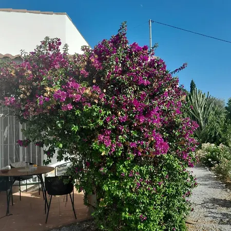 Casa Limones Дом отдыха Торрокс-Коста